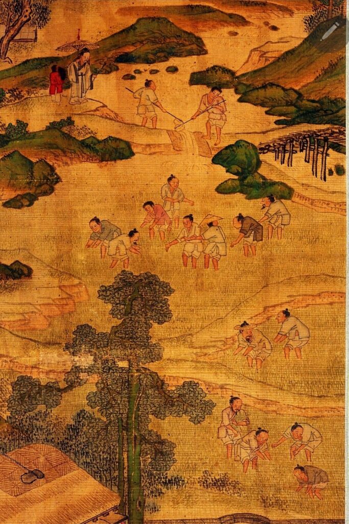 pumasi and dure