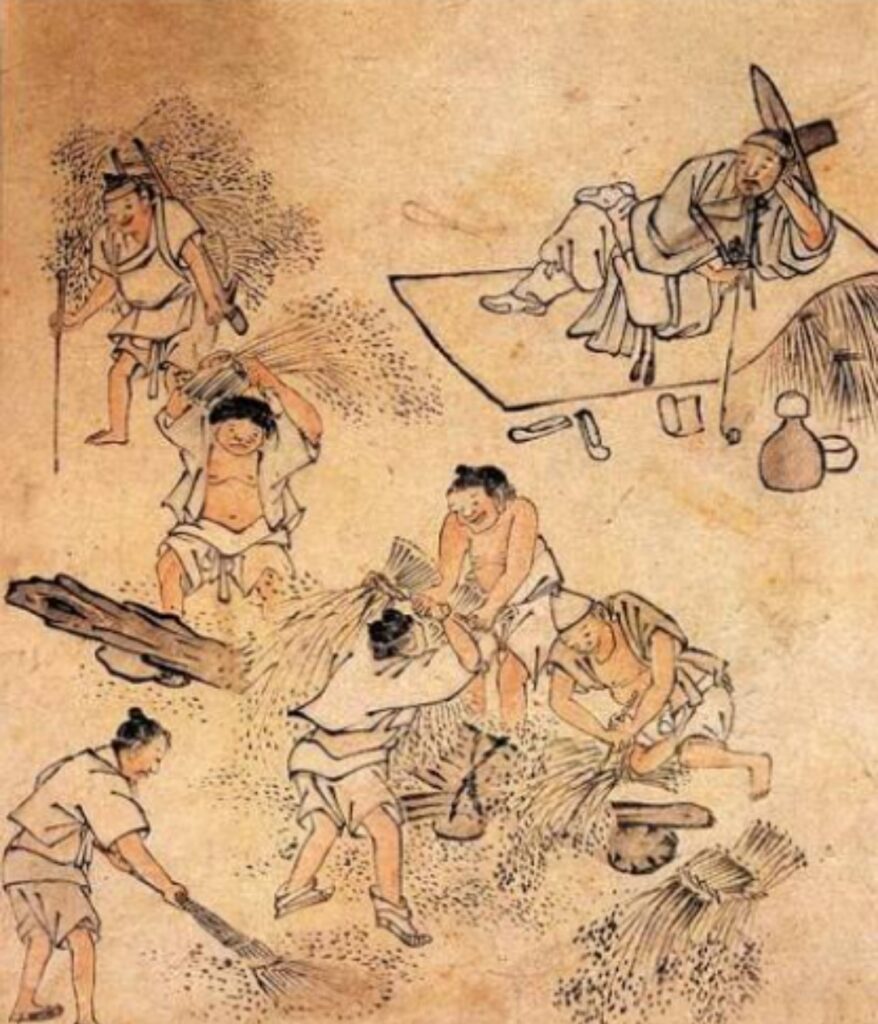 Yangab and nobi